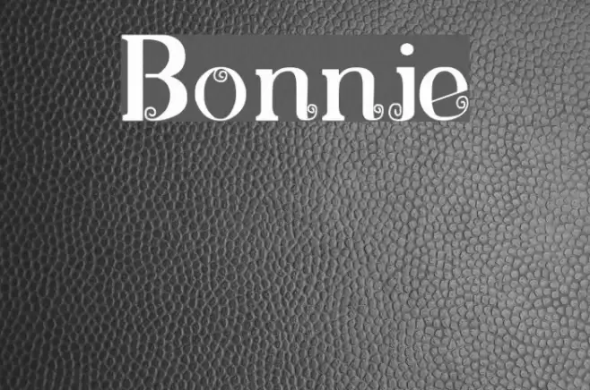 Bonnie Font examples