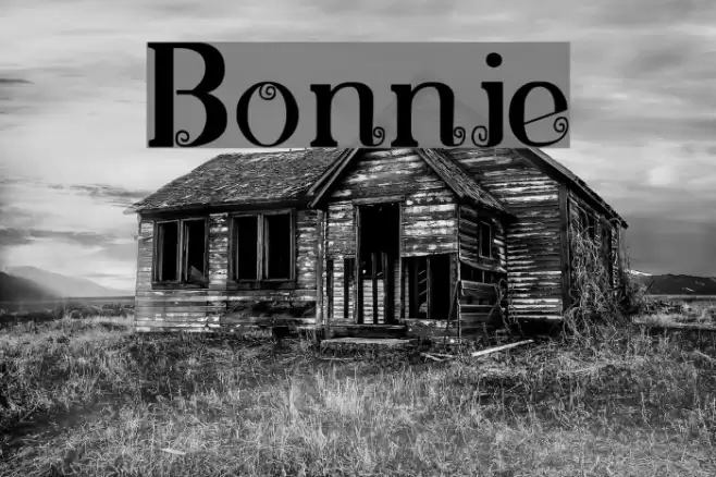 Bonnie Font examples