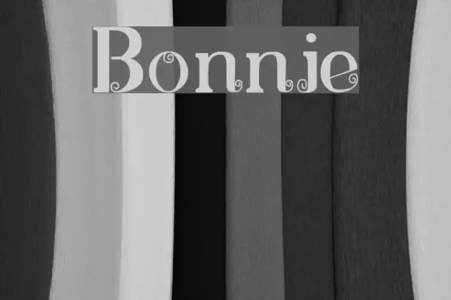 Bonnie Font examples