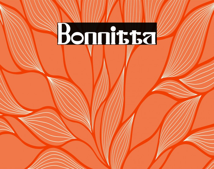 Bonnitta Example 1