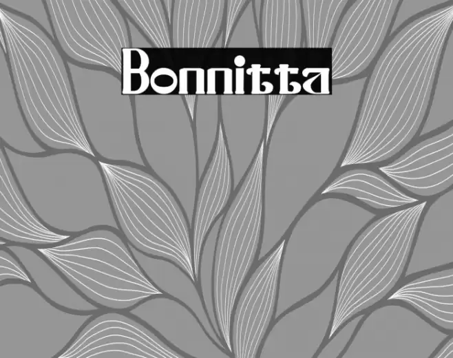 Bonnitta Font examples