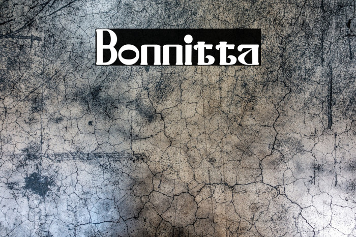 Bonnitta Example 2