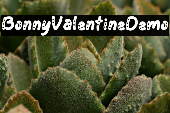 Bonny Valentine Demo Example 1