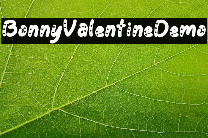 Bonny Valentine Demo Example 2