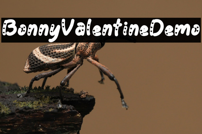 Bonny Valentine Demo Example 3