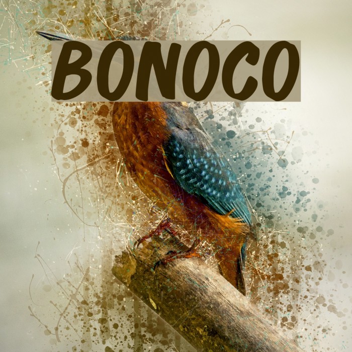 Bonoco Font examples
