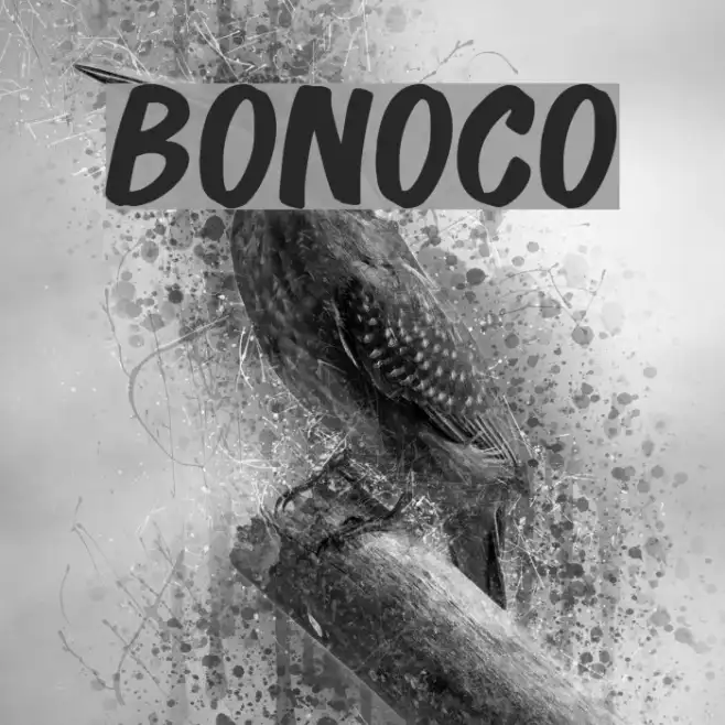 Bonoco Example 1