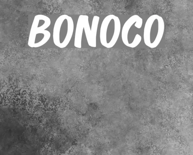 Bonoco Example 2