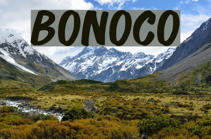 Bonoco Font examples
