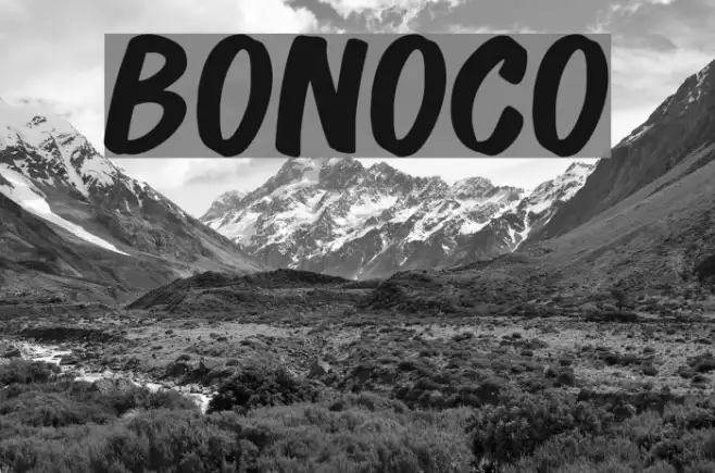 Bonoco Example 3