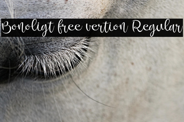 Bonoligt free vertion Regular Example 3
