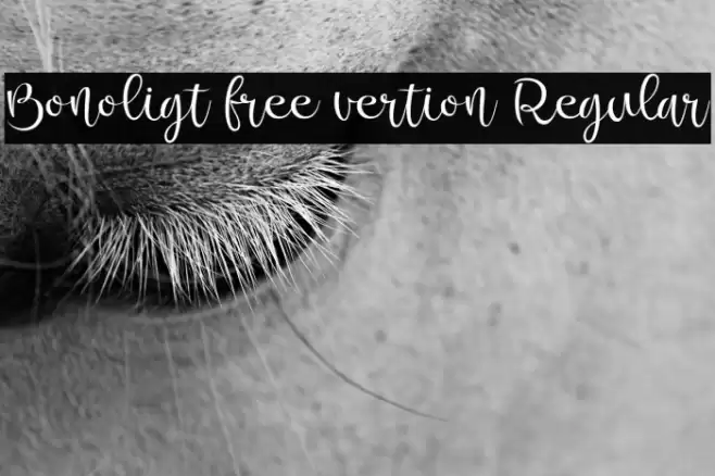 Bonoligt free vertion Regular Font examples