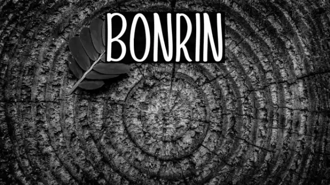 Bonrin Font examples
