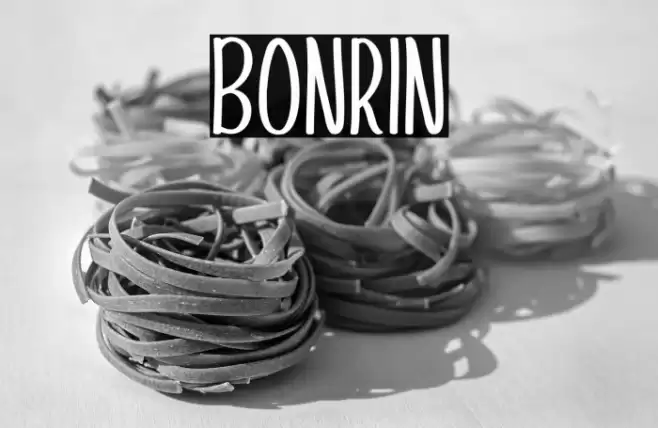 Bonrin Font examples