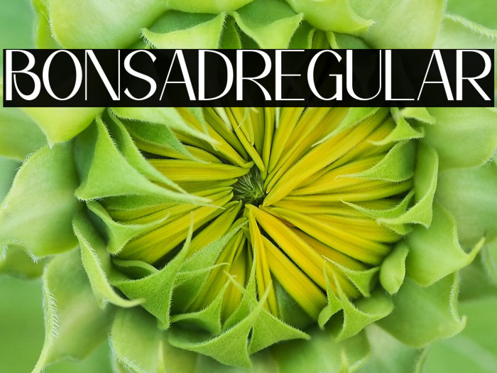 Bonsad Regular Example 1