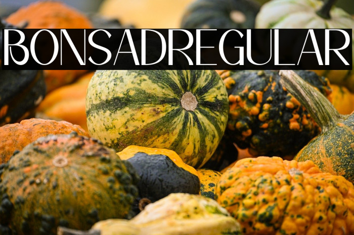 Bonsad Regular Example 2