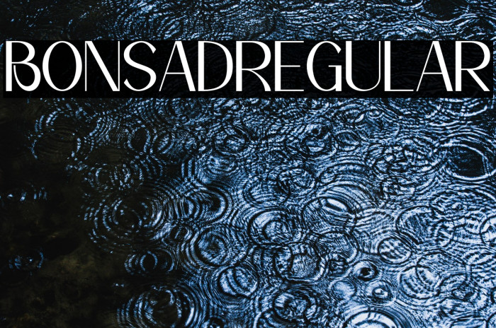 Bonsad Regular Example 3