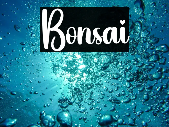 Bonsai Example 2