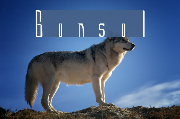 Bonsol Font - FFonts.net
