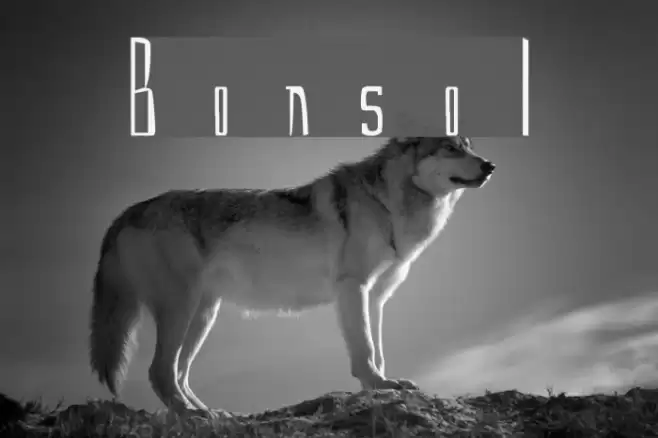 Bonsol Font examples