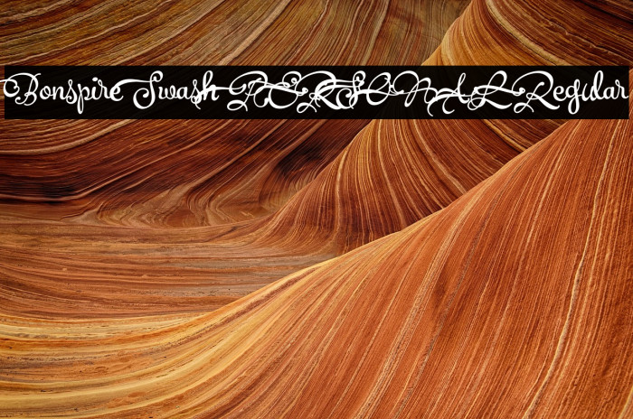 Bonspire Swash PERSONAL Regular Example 1