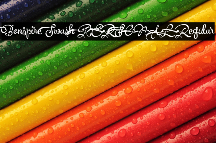 Bonspire Swash PERSONAL Regular Example 3