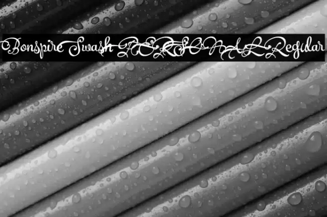 Bonspire Swash PERSONAL Regular Font examples