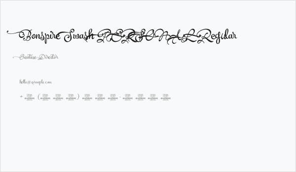 Bonspire Swash PERSONAL Regular Business Card