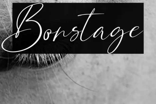 Bonstage Example 2