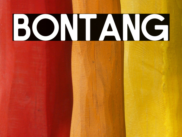 Bontang Example 2