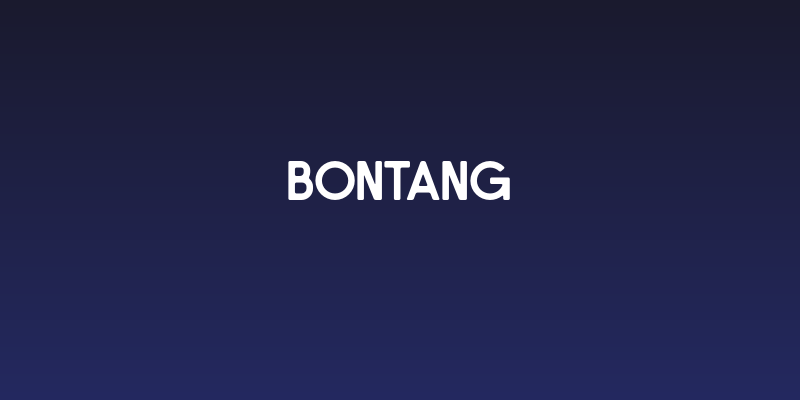 Bontang Social Header