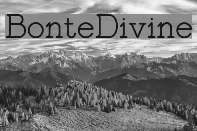 BonteDivine Font examples