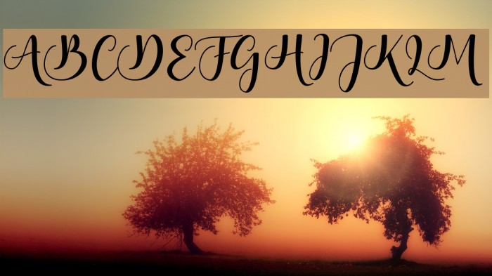 BontellaScript Font examples