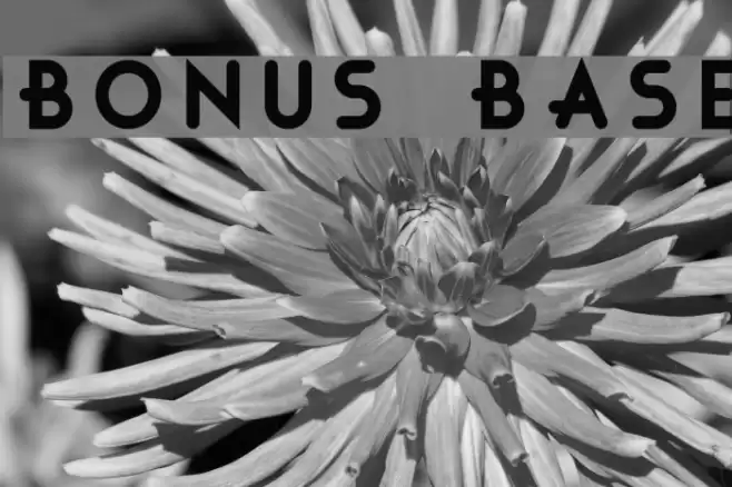 Bonus Base Font examples