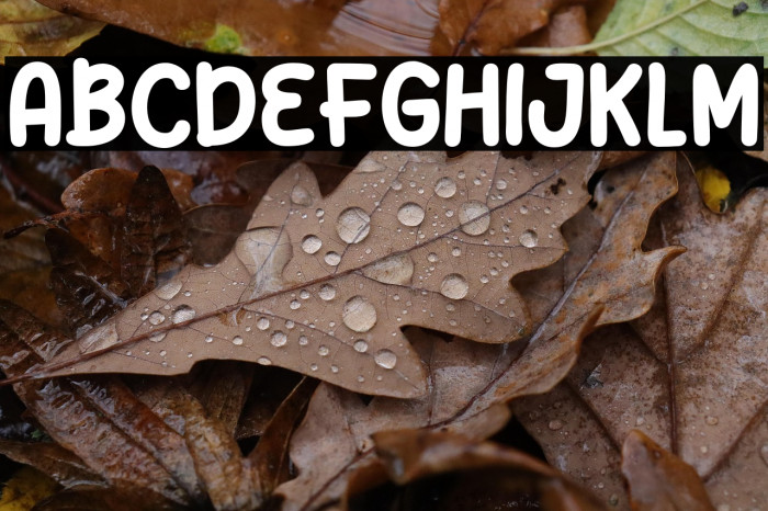 Bonus Coffee Example 1