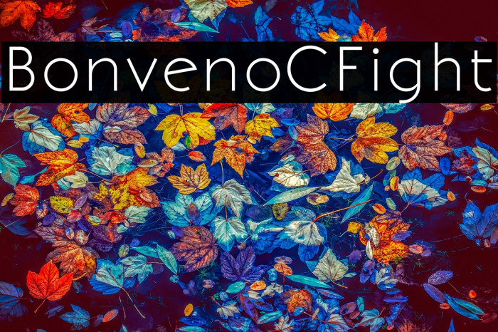 BonvenoCF-Light1 Example 1