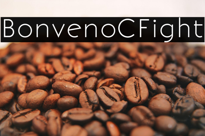 BonvenoCF-Light1 Example 2