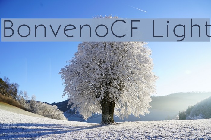 BonvenoCF Light Font examples