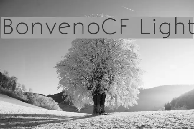 BonvenoCF Light خط examples