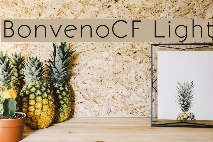 BonvenoCF Light Font examples