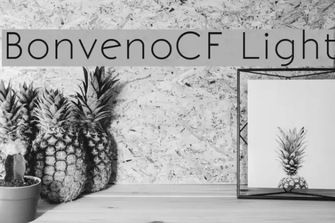 BonvenoCF Light خط examples