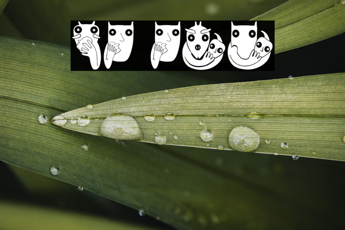 Bonvenon Regular Example 2