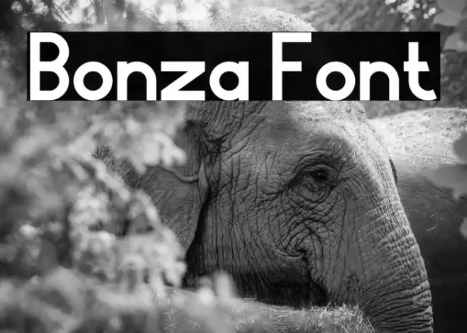 Bonza Example 2