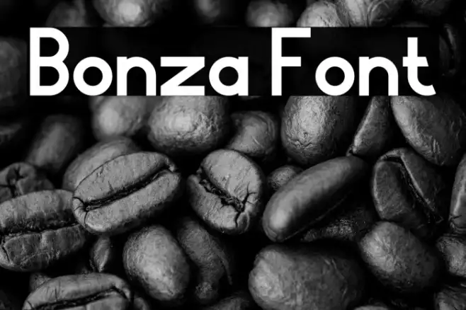 Bonza Example 3