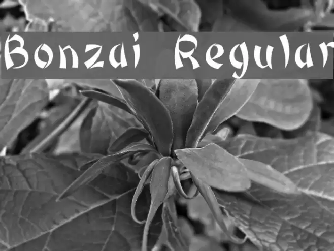 Bonzai Regular Font examples