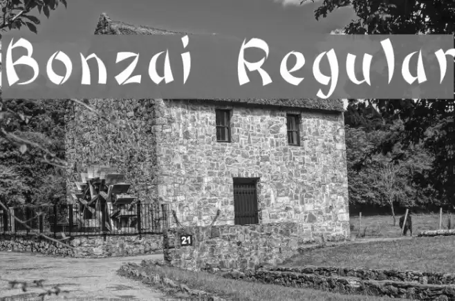 Bonzai Regular Font examples