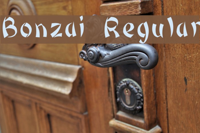 Bonzai Regular Font examples