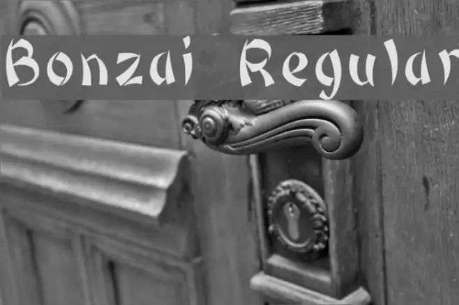 Bonzai Regular Font examples