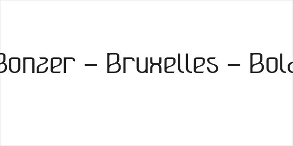 Bonzer - Bruxelles - Bold Logo