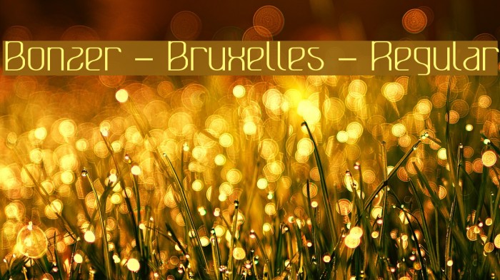 Bonzer - Bruxelles - Regular Example 2